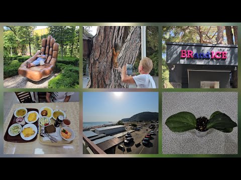 Видео: VLOG 28.07.2025 г Геленджик/ Море/ Белочки/ Завтрак, обед цены/ Вкусное мороженое/ Дорога домой
