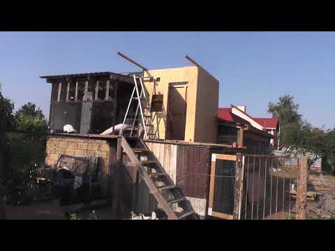 Видео: Самая прекрасная пара белых чубатых голубей.