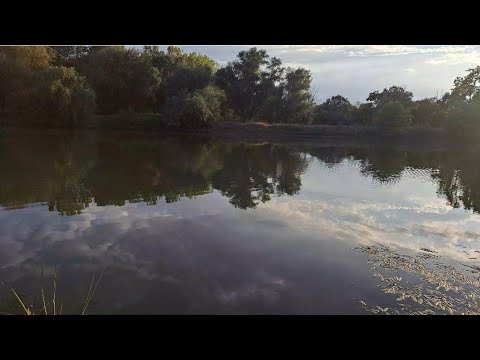 Видео: Рыбалка.Чеки в Маяках на Днестре.Троицкое. Яски Турунчук. Необыкновенное путешествие 🥰 2025г 