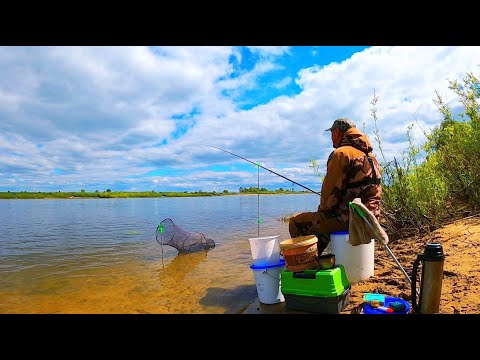 Видео: ПЕРВЫЕ ЛЕЩИ ДА ЕЩЁ КАКИЕ!!! Первая рыбалка на фидер!