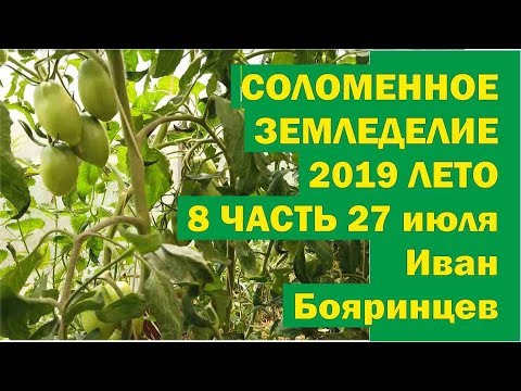 Видео: Соломенное земледелие 2019-8 Середина лета 27 июля. //Живая Баня Иван Бояринцев