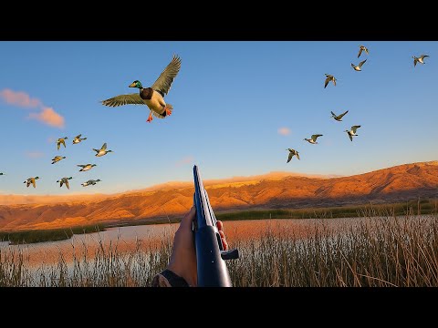 Видео: День открытия: ОХОТА НА УТОК В ОРЕГОНЕ (ограниченный тираж) | Саммер-Лейк | Видеоматериалы Шоткама