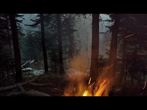 Видео: Практика общения с Духами Природы.