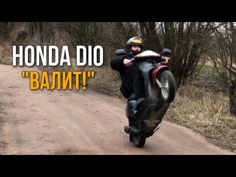 Видео: HONDA DIO FIT - ВОЛК В ОВЕЧЬЕЙ ШКУРЕ!