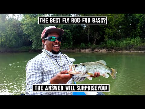 Видео: Лучшее нахлыстовое удилище для ловли окуня — не ошибитесь