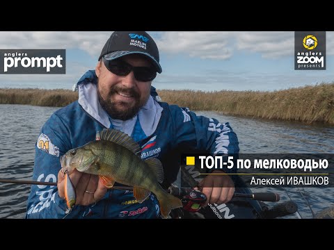 Видео: ТОП-5 по мелководью. Алексей Ивашков. Anglers Prompt