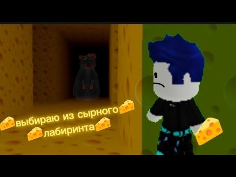 Видео: Выбираюсь из сырного лабиринта