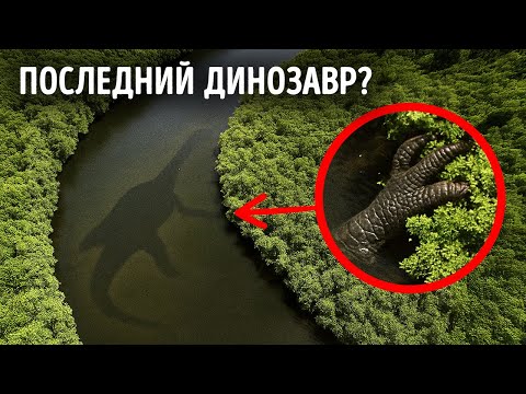Видео: Невероятные находки в реках – включая динозавра в Конго