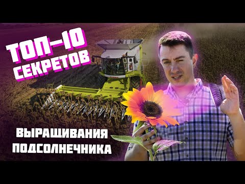 Видео: Именно поэтому и нет урожая. Смотри это видео, чтобы не повторять наших ошибок.