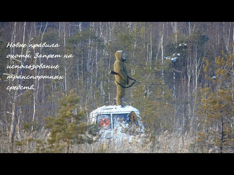 Видео: Важно! Охота с транспорта. Законно ли?