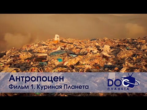 Видео: Антропоцен - Фильм 1. Куриная Планета - Научно-познавательный фильм