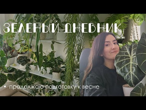 Видео: Зеленый дневник: подготовка коллекции к весне. 2 часть.