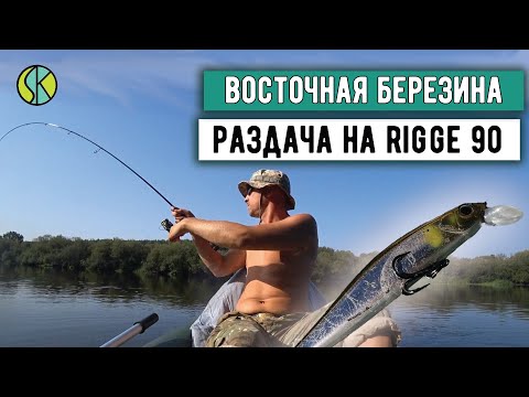 Видео: Попал на РАЗДАЧУ! Рыбалка на спиннинг СПЛАВОМ | БЕРЕЗИНА 2022