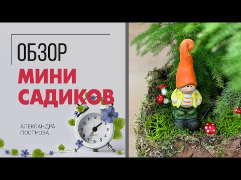 Видео: Обзор мини садиков - комнатные цветы можно выращивать вместе и это будет красиво.