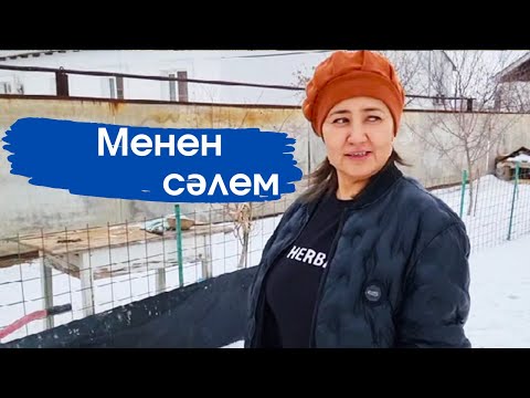 Видео: Vlog. Қызыл әтеш табылды.3 әтеш бар