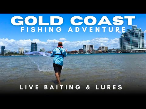 Видео: Рыбалка на живую наживку и приманку на Золотом побережье