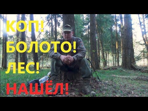 Видео: Нашёл хорошую точку для копа в болотистых лесах!