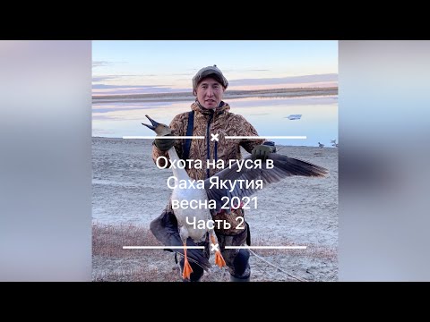Видео: Охота Саха Якутия / красивые налёты / охота на гуся / быт / часть 2