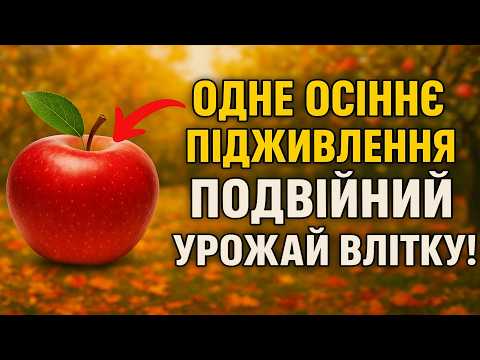 Видео: Одне осіннє підживлення — подвійний урожай влітку!