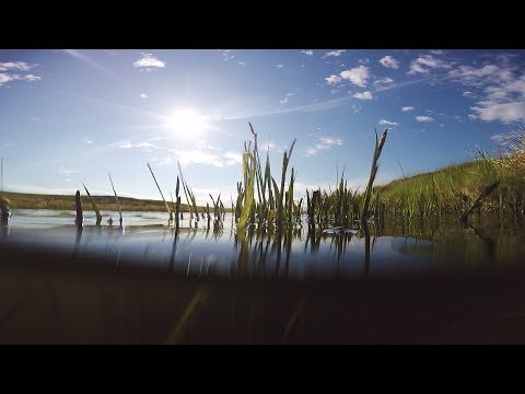 Видео: РЫБАЛКА  С  ПРИКЛЮЧЕНИЯМИ  в Баргузинском районе 2017