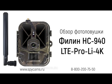 Видео: Обзор уличной 4К фотоловушки для охоты Suntek Филин HC-940 LTE-Pro-Li-4K