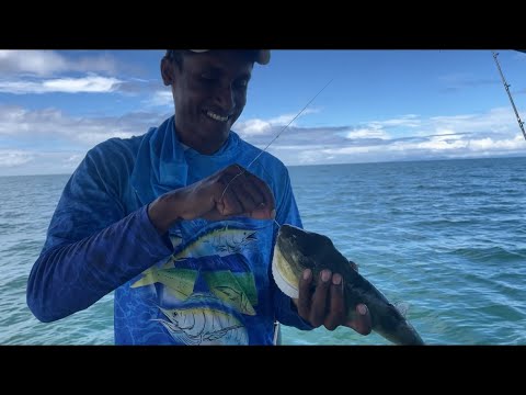 Видео: Рыбалка в заливе и на реке с капитаном Навином! Калпу, Карибские острова, Тринидад.