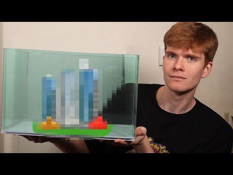 Видео: утопия морской обезьяны