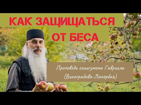 Видео: Защита от блудного беса. Схиигумен Гавриил. Верую @ЕленаКозенкова.ВЕРУЮ