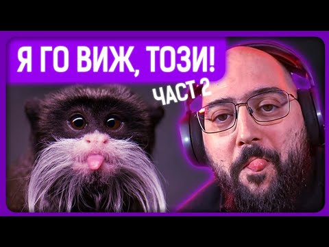 Видео: ОЩЕ СТРАННИ ЖИВОТНИ!