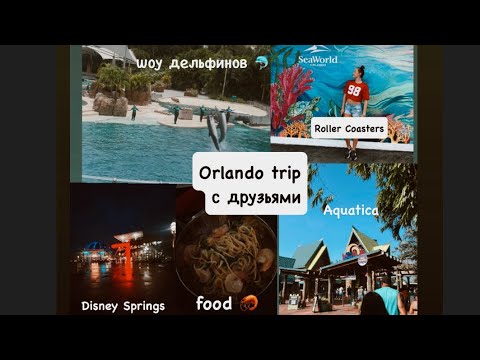 Видео: НЕЗАБЫВАЕМОЕ ПУТЕШЕСТВИЕ В ORLANDO с ДРУЗЬЯМИ🔥! |  Aquatica🌴🌊; Seaworld 🎢; Disney Springs ✨ part 1