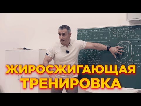 Видео: Жиросжигающая тренировка. Теория и методика | Багаудин Беков