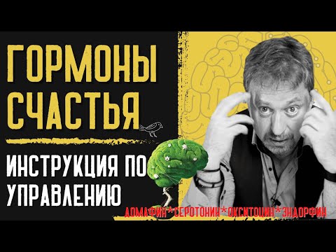 Видео: ГОРМОНЫ СЧАСТЬЯ. Инструкция по управлению