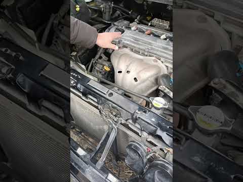 Видео: Тойота ипсум оталмайт 