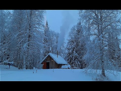 Видео: Дом в тайге. Зимняя рыбалка в сказочном лесу. Готовлю хариуса.