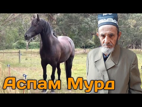 Видео: Боби Рачабали Аз Бачахои Гариб Хохиш Кард (( Дар Сари Боби Рачабали Мусибат Омад ))