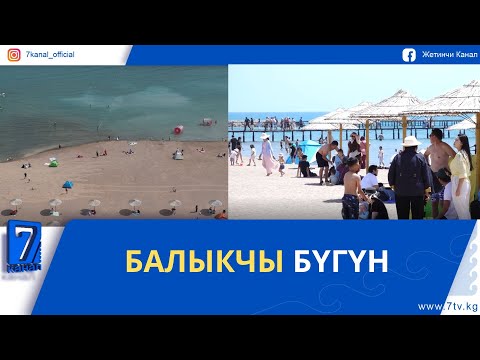 Видео: БАЛЫКЧЫ БҮГҮН