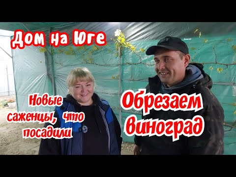 Видео: Дом на Юге. Обрезаем виноград. Новые саженцы в огороде у ребят.