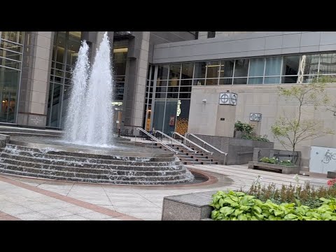 Видео: Великолепный город ЧИКАГО - столько Красивых видов - просто сказка - чисто, аккуратно, интересно 😉👍🙏