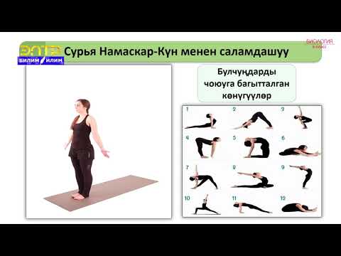 Видео: 8-класс | Биология | Организмди чыңдоо (практикалык иш)