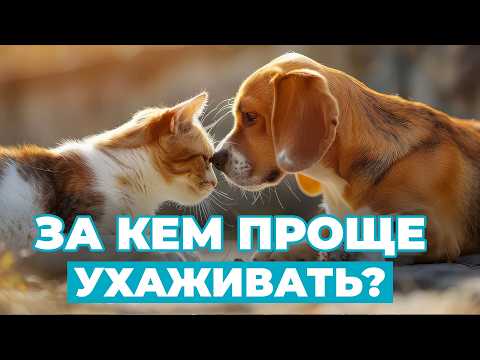 Видео: Кого выбрать: кошку 😼 или собаку 🐶❓ Особенности ухода за питомцами