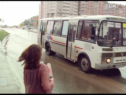 Видео: Новости ТВК проверили автобусы