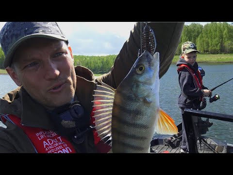 Видео: ВПЕРВЫЕ С НИМ! СКОЛЬКО СТОИТ ЛОДКА?! РЫБАЛКА С СЫНОМ и ЛОДКОЙ-МЕЧТОЙ, ОТВЕТЫ НА ВОПРОСЫ ПО ЛОДКЕ