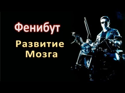 Видео: Фенибут: Исследования, Развитие Мозга