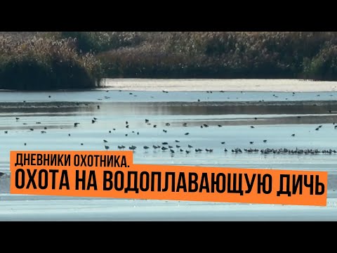 Видео: Охота на водоплавающую дичь \ Дневники охотника. Сезон 2