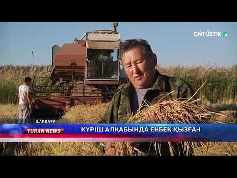Видео: КҮРІШ АЛҚАБЫНДА ЕҢБЕК ҚЫЗҒАН!