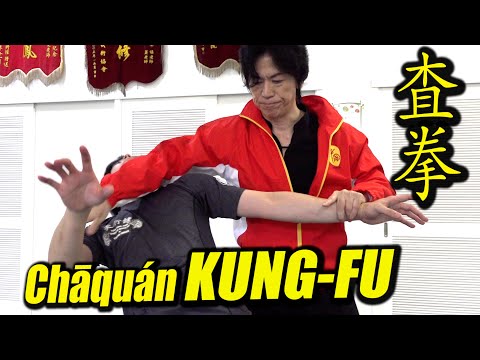 Видео: 【КУНГ-ФУ】Скрытые техники "Chāquán"/"Cun jin","liao yin zhang",Удар головой ＜Тамоцу Мияхира＞