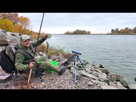 Видео: ФІДЕР АЖ ТРІЩИТЬ! По три риби за раз - осіння риболовля в жовтні