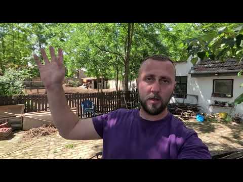 Видео: Гидропоника, Рассада, Сено, лето