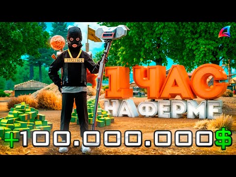 Видео: ИМБОВЫЙ ЗАРАБОТОК на ФЕРМЕ ЛЬНА И ХЛОПКА с АКСЕССУАРАМИ на АРИЗОНА РП в ГТА САМП (gta samp)