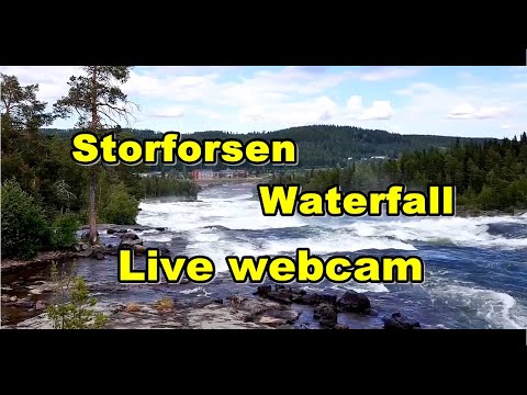 Видео: Наедине с природой. Storforsen (Waterfall) Live view